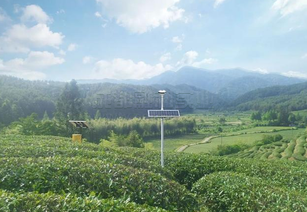 智慧茶园
