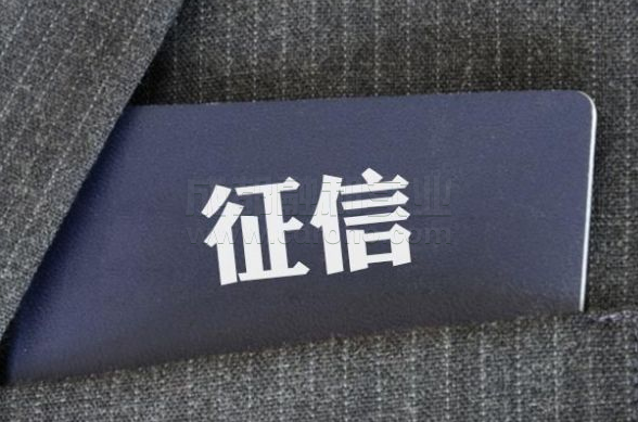 商业查询平台