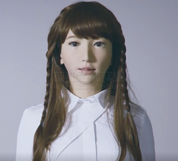 人形机器人