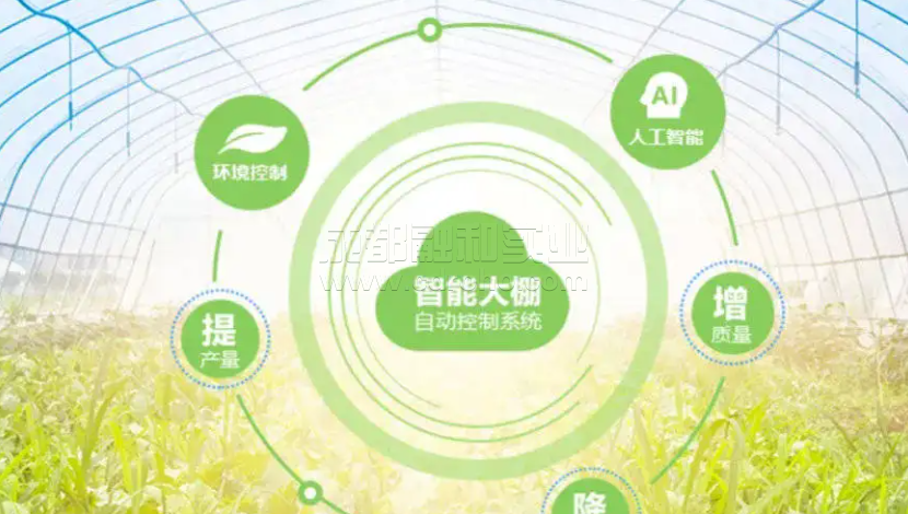 智慧农业助力粮食系统发展