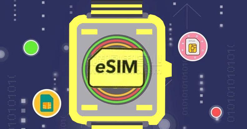 ESIM应用环境的实际应用有哪些
