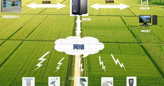 机器学习助力传统农业转型智能农业