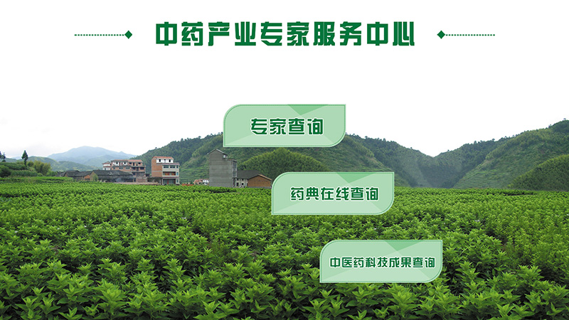 中药专家中心