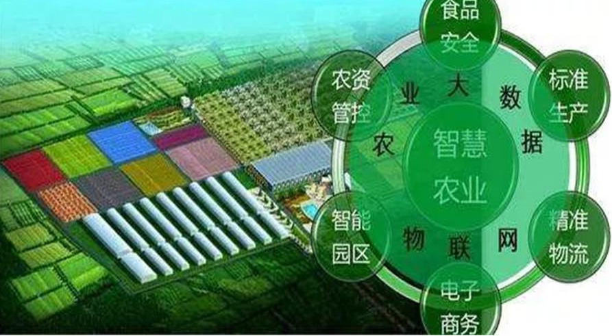 智慧农业兴起信息不再闭塞效果图