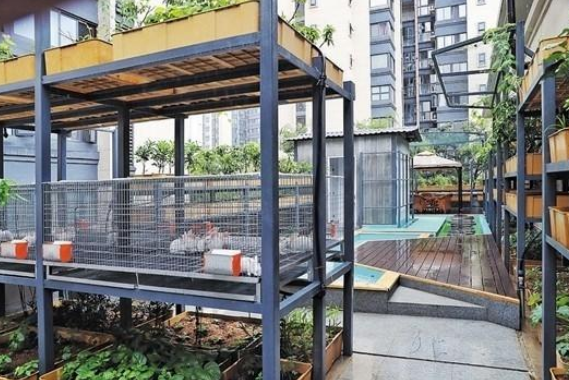 智能生态价值体系造福未来智慧城市发展效果图